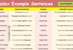 100 Paradox Example Sentences in English with Pictures