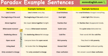 100 Paradox Example Sentences in English with Pictures