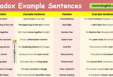 100 Paradox Example Sentences in English with Pictures