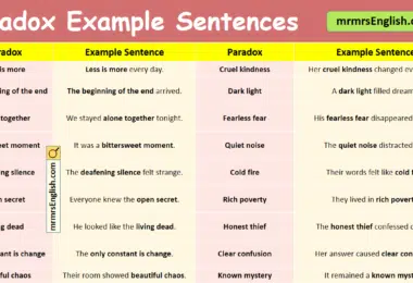 100 Paradox Example Sentences in English with Pictures