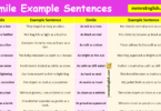 100 Simile Example Sentences in English with Pictures