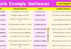 100 Simile Example Sentences in English with Pictures