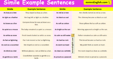 100 Simile Example Sentences in English with Pictures