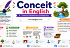 Conceit in English with Meaning, Types and Example Sentences