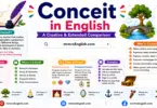 Conceit in English with Meaning, Types and Example Sentences