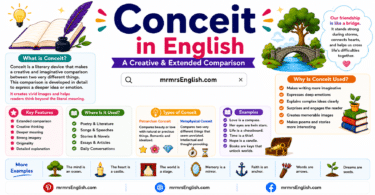 Conceit in English with Meaning, Types and Example Sentences
