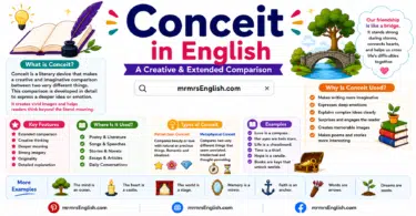 Conceit in English with Meaning, Types and Example Sentences