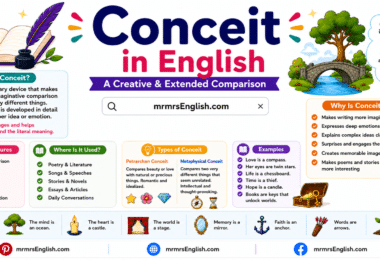 Conceit in English with Meaning, Types and Example Sentences