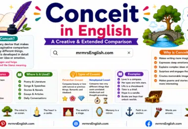 Conceit in English with Meaning, Types and Example Sentences