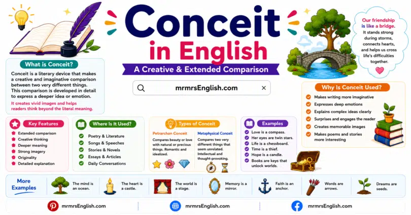 Conceit in English with Meaning, Types and Example Sentences