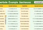 Hyperbole Example Sentences in English with Pictures