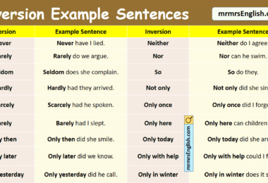 Inversion Example Sentences in English with Pictures