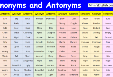 List of Synonyms and Antonyms in English with Pictures