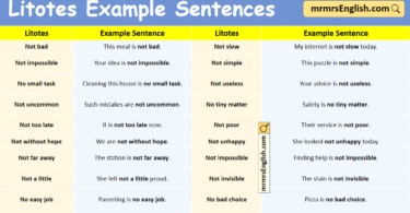 Litotes Example Sentences in English with Pictures