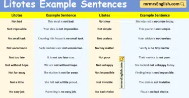 Litotes Example Sentences in English with Pictures