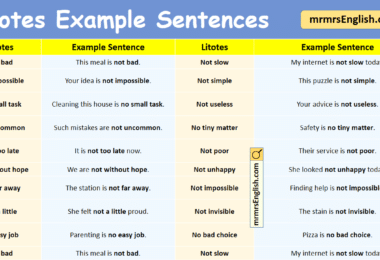 Litotes Example Sentences in English with Pictures