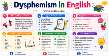 What Is Dysphemism in English Meaning and Simple Examples