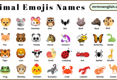 Animal Emojis Names in English with Their Pictures