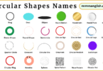 Circular Shapes Names in English with Their Pictures