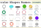 Circular Shapes Names in English with Their Pictures