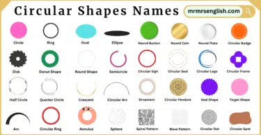 Circular Shapes Names in English with Their Pictures