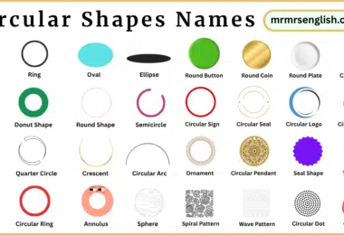 Circular Shapes Names in English with Their Pictures