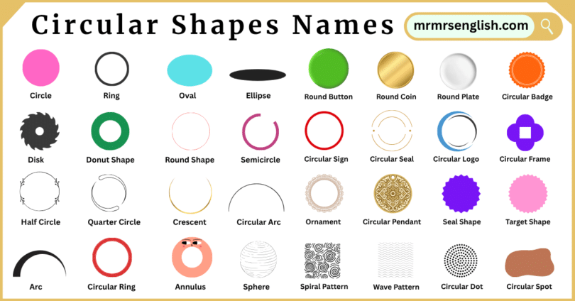 Circular Shapes Names in English with Their Pictures