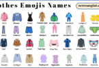 Clothes Emojis Names in English with Their Pictures