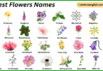 Forest Flowers Names in English with Their Pictures