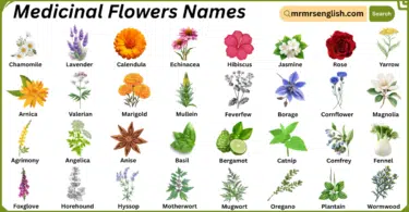 Medicinal Flowers Names in English with Their Pictures