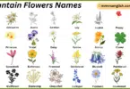 Mountain Flowers Names in English with Their Pictures