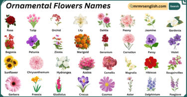 Ornamental Flowers Names in English with Their Pictures