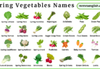 Spring Vegetables Names in English with Pictures