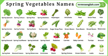 Spring Vegetables Names in English with Pictures