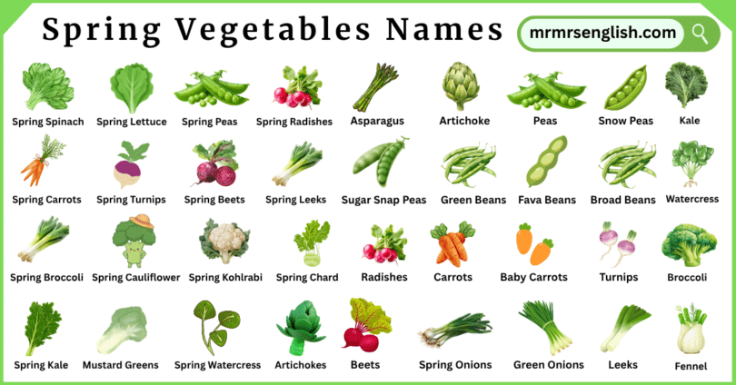 Spring Vegetables Names in English with Pictures