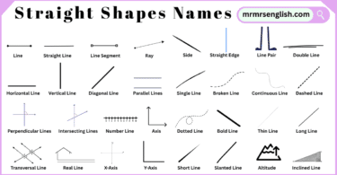 Straight Shapes Names in English and Their Pictures