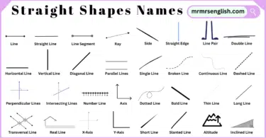 Straight Shapes Names in English and Their Pictures