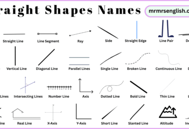 Straight Shapes Names in English and Their Pictures