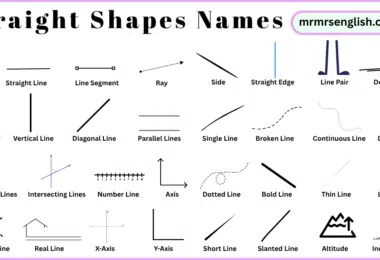 Straight Shapes Names in English and Their Pictures