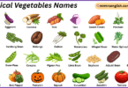 Tropical Vegetables Names in English with Their Pictures