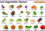 Tropical Vegetables Names in English with Their Pictures
