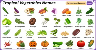 Tropical Vegetables Names in English with Their Pictures