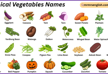 Tropical Vegetables Names in English with Their Pictures