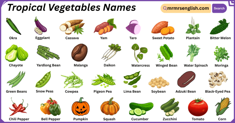 Tropical Vegetables Names in English with Their Pictures