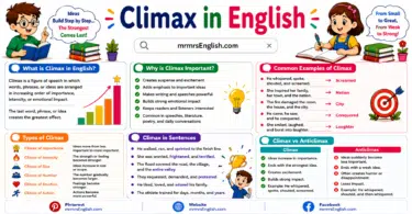 What Is Climax Meaning, Definition, and Examples in English