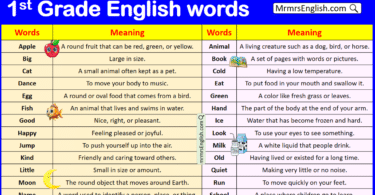 1st Grade Vocabulary Words with meaning in English with PDF