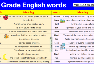 1st Grade Vocabulary Words with meaning in English with PDF