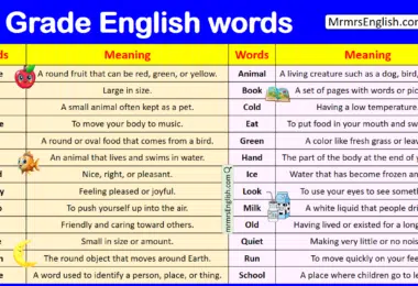 1st Grade Vocabulary Words with meaning in English with PDF