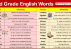 2nd Grade Vocabulary Words