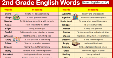 2nd Grade Vocabulary Words